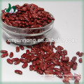 Wholesale good canned red kidney beans price
